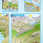 Tipos de uso del agua